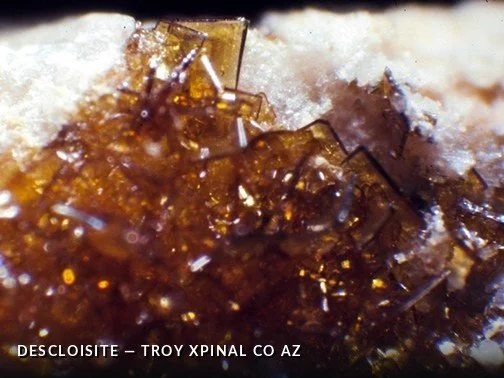 Descloisite - TroyXPinalCoAZCrop.jpg