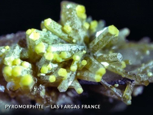 Pyromorphite - LasFargasFranceCrop.jpg