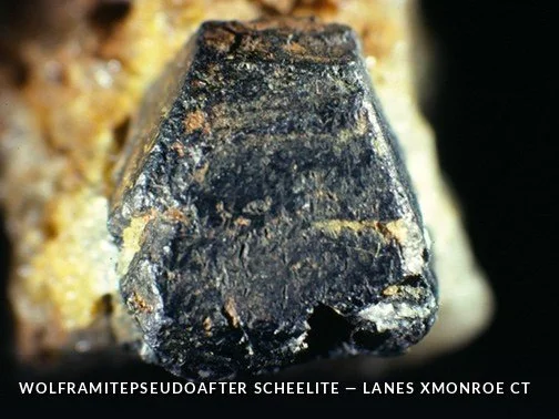 WolframitepseudoafterScheelite - LanesXMonroeCTCrop.jpg