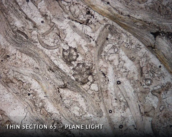 Thin Section 65 - Plane Light.jpg