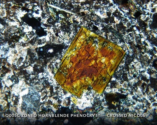 Q005C Zoned Hbl Pheno XN.jpg