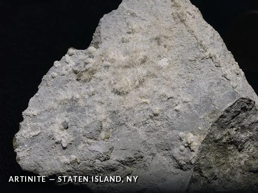 Artinite - StatenIsland, NY.jpg