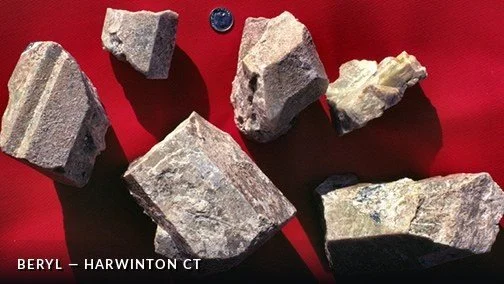 Beryl - HarwintonCTCrop.jpg