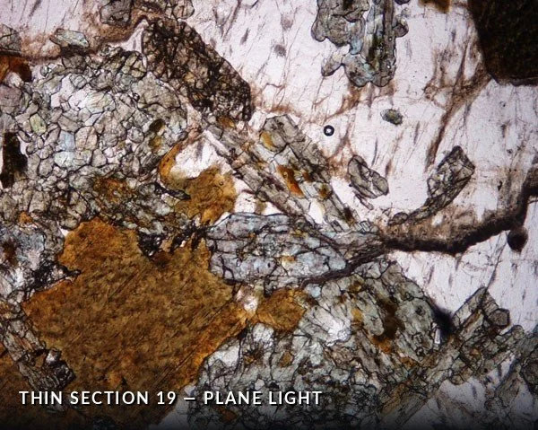 Thin Section 19 - Plane Light.jpg