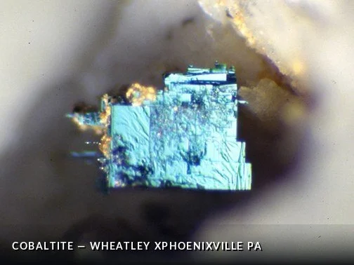 Cobaltite - WheatleyXPhoenixvillePACrop.jpg