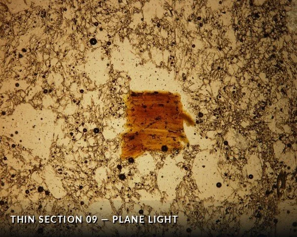 Thin Section 09 - Plane Light.jpg