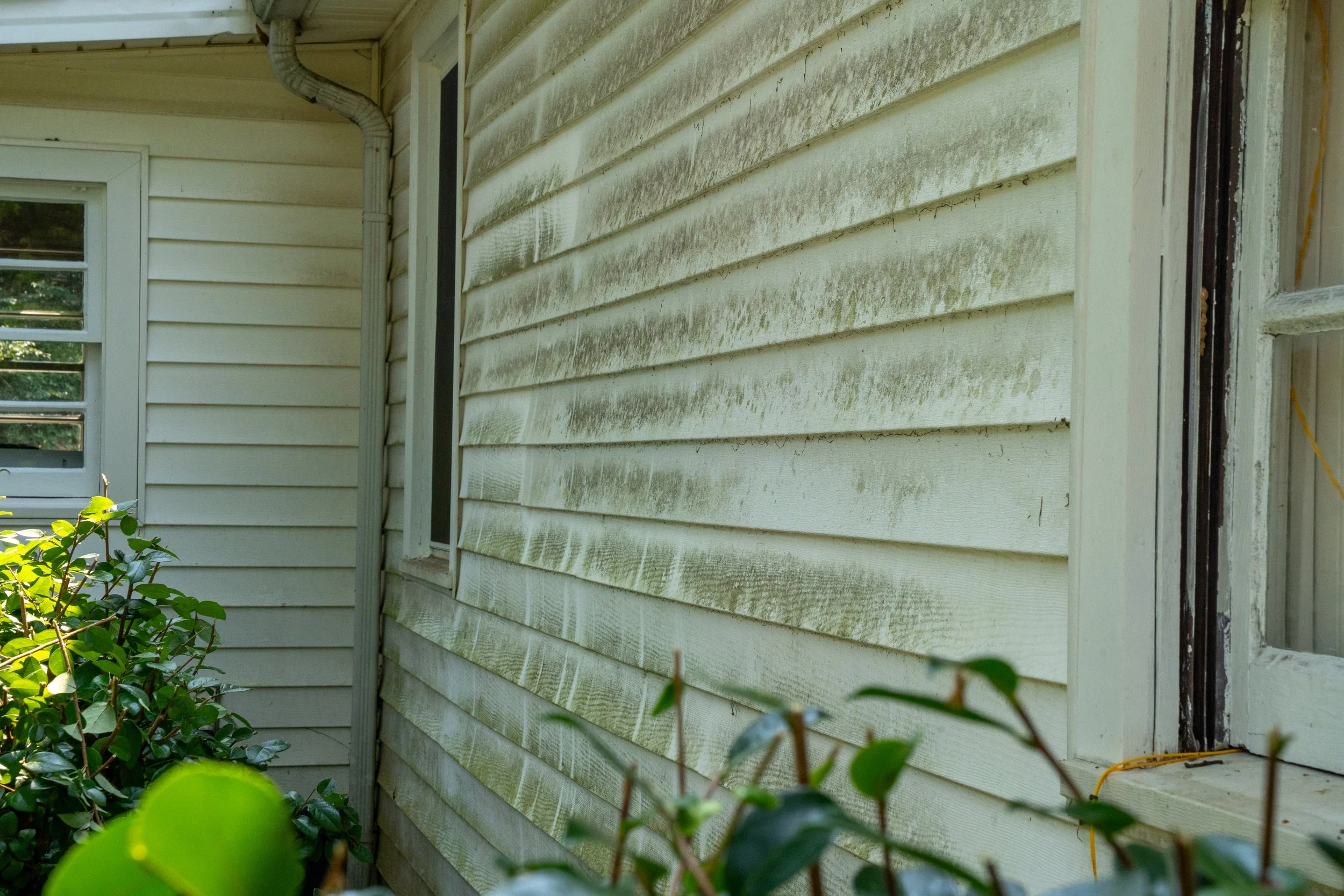 Exterior view of a house with dirty, weathered beige siding and a partially exposed window frame, surrounded by green foliage.
