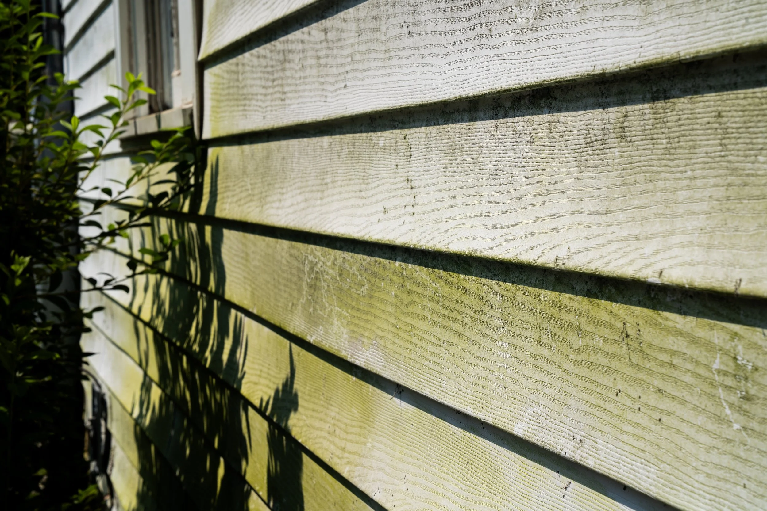 Close-up of a wooden fence with horizontal planks, some of which have green moss or algae on them, with shadows cast across the surface. There are some leaves and branches visible on the left side of the image.