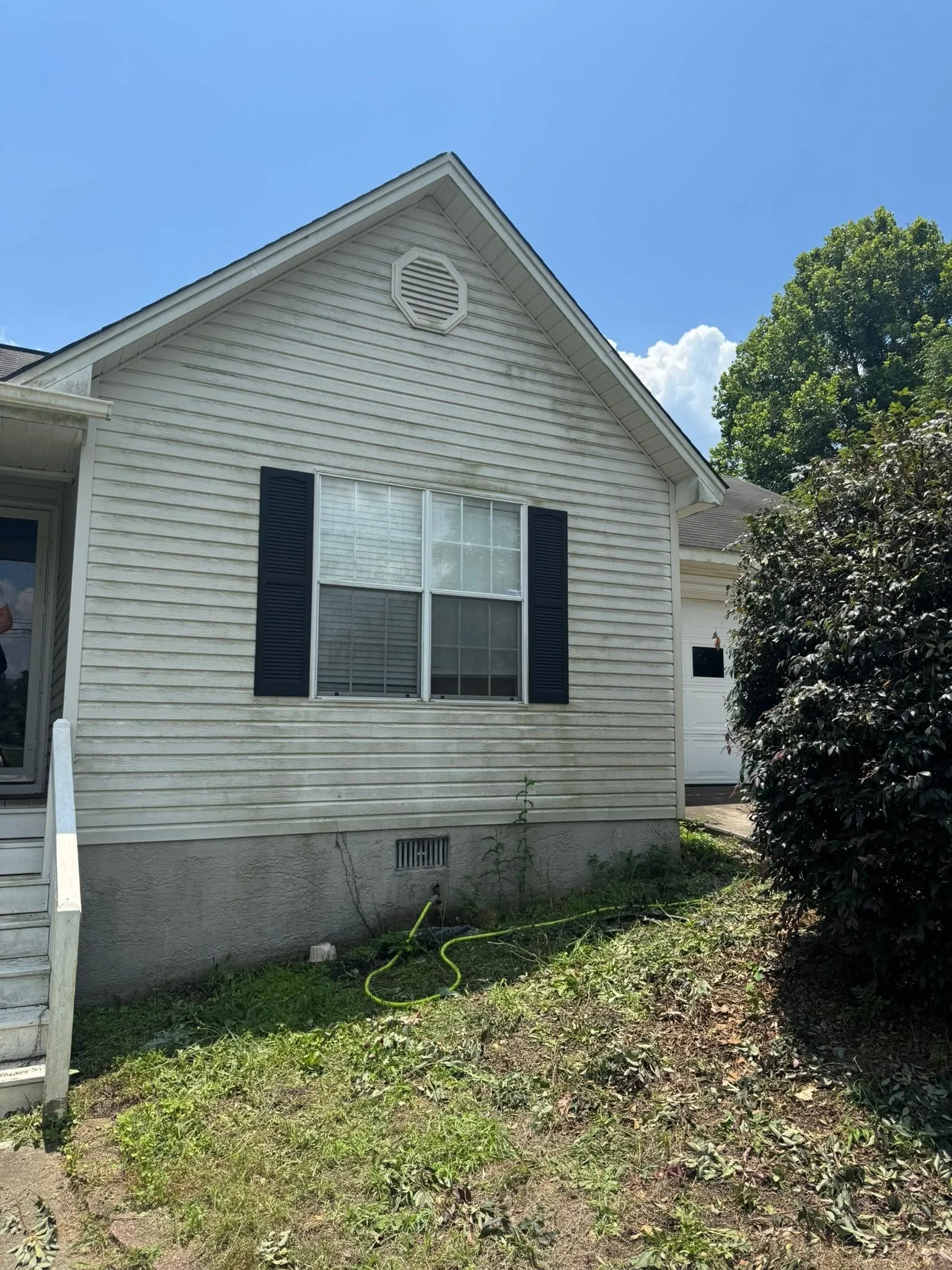 View of the back of a house with white siding, a window with black shutters, and a yard with grass, weeds, and a yellow garden hose on the ground. A large green leafy tree is on the right side.