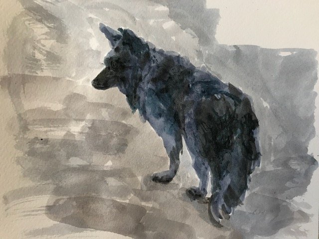 pippahowes.com