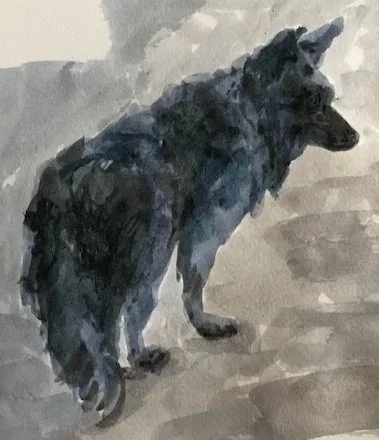 pippahowes.com