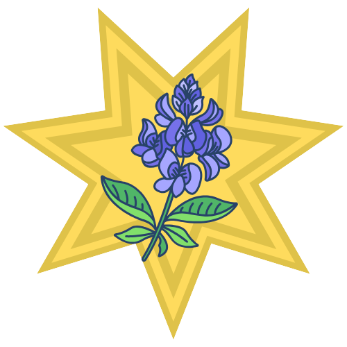 A gold seven-pointed star behind a bluebonnet.