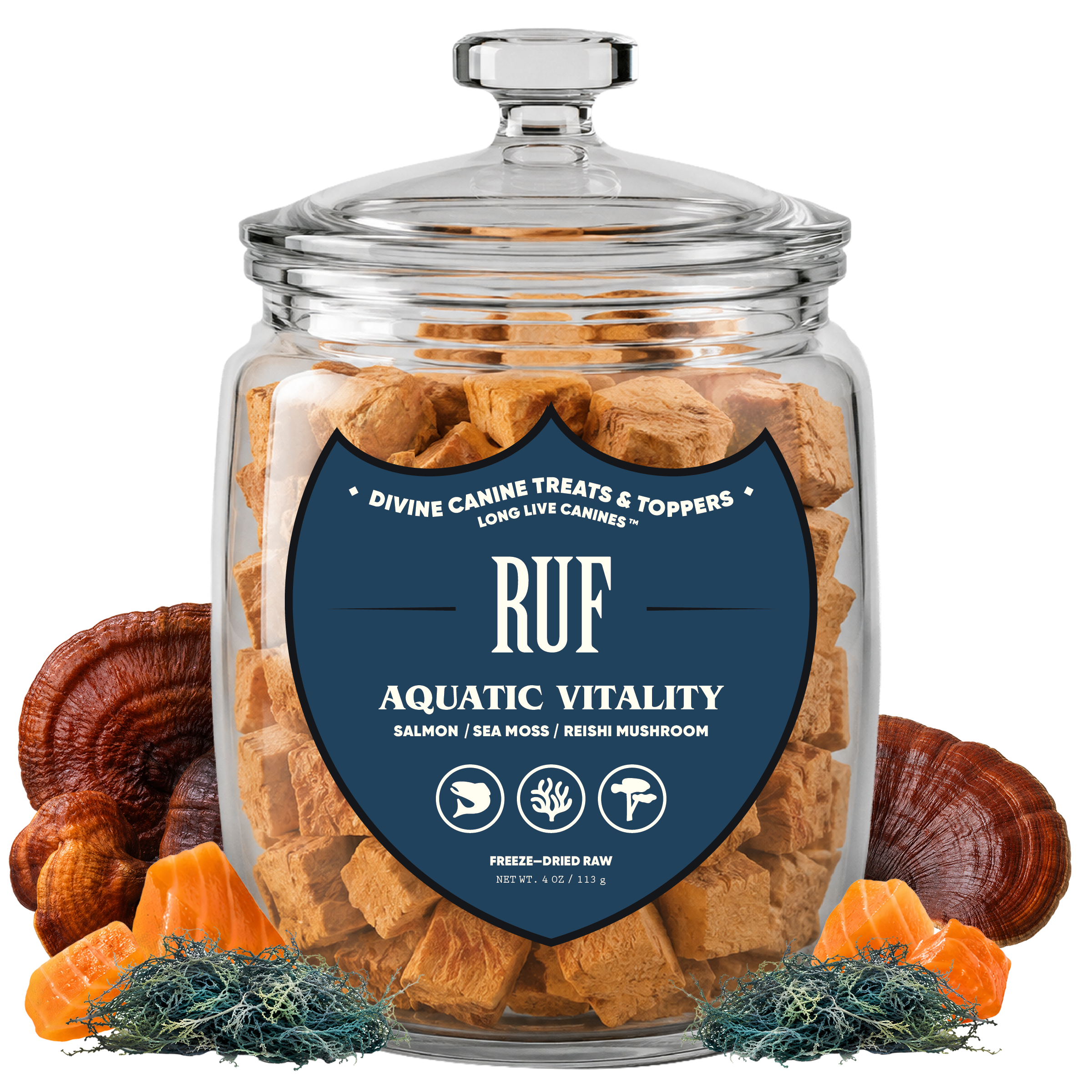 Aquatic Vitality