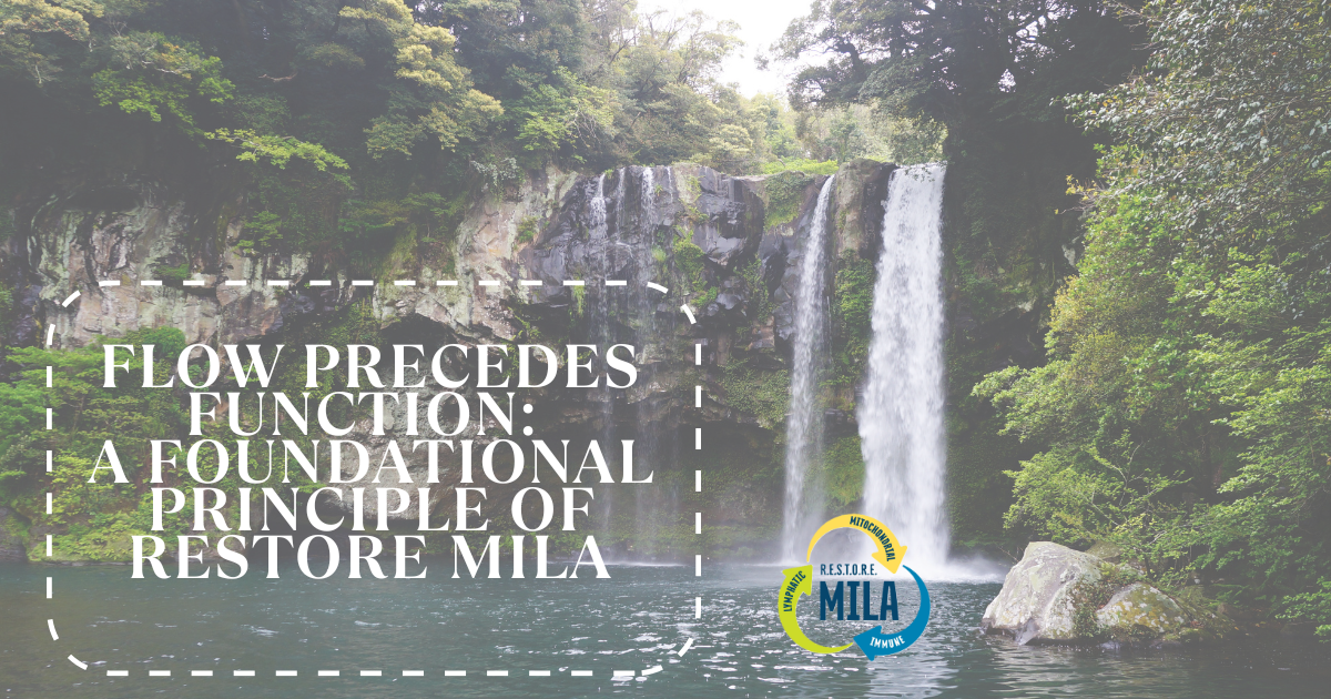Flow Precedes Function: A Foundational Principle of RESTORE MILA