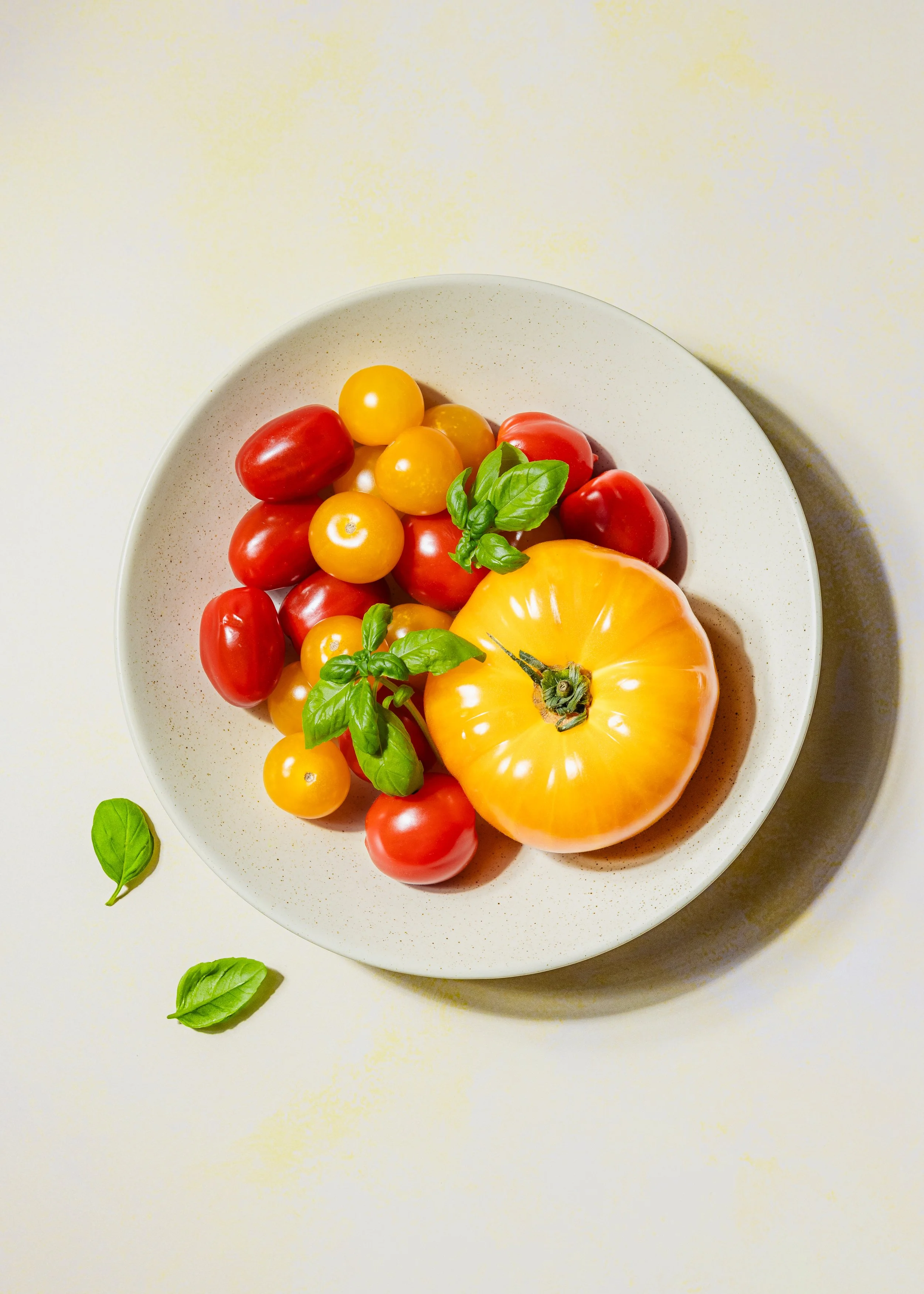 Bunte Tomaten auf einem weißen Teller mit frischen Basilikumblättern, halbierte gelbe Tomate, rote und gelbe Kirschtomaten, umgeben von Basilikumblättern auf einem weißen Hintergrund.
