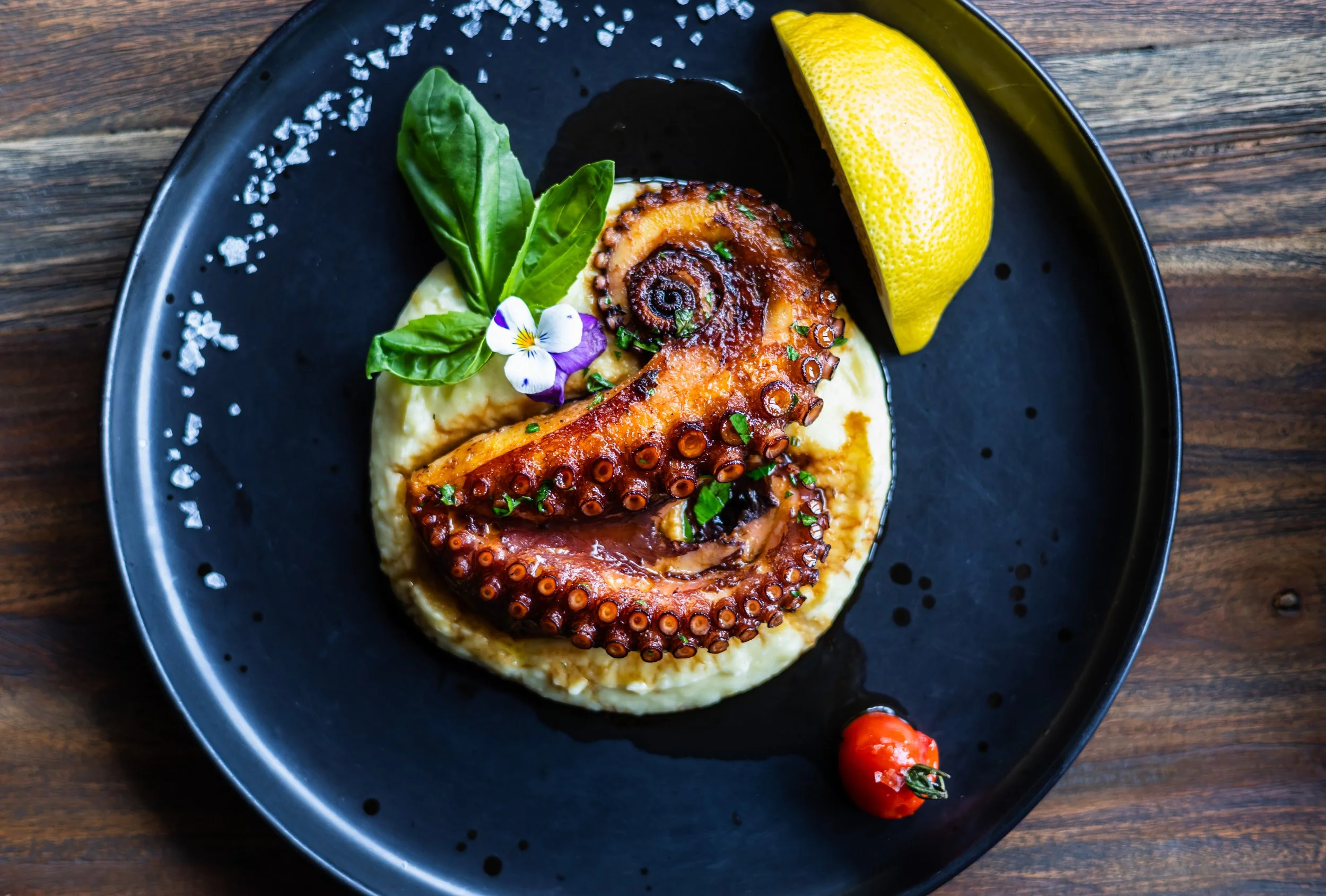 Gegrillter Oktopus auf cremigem Kartoffelpüree mit Basilikum, einer Zitronenscheibe und einer Kirschtomate auf einem schwarzen Teller