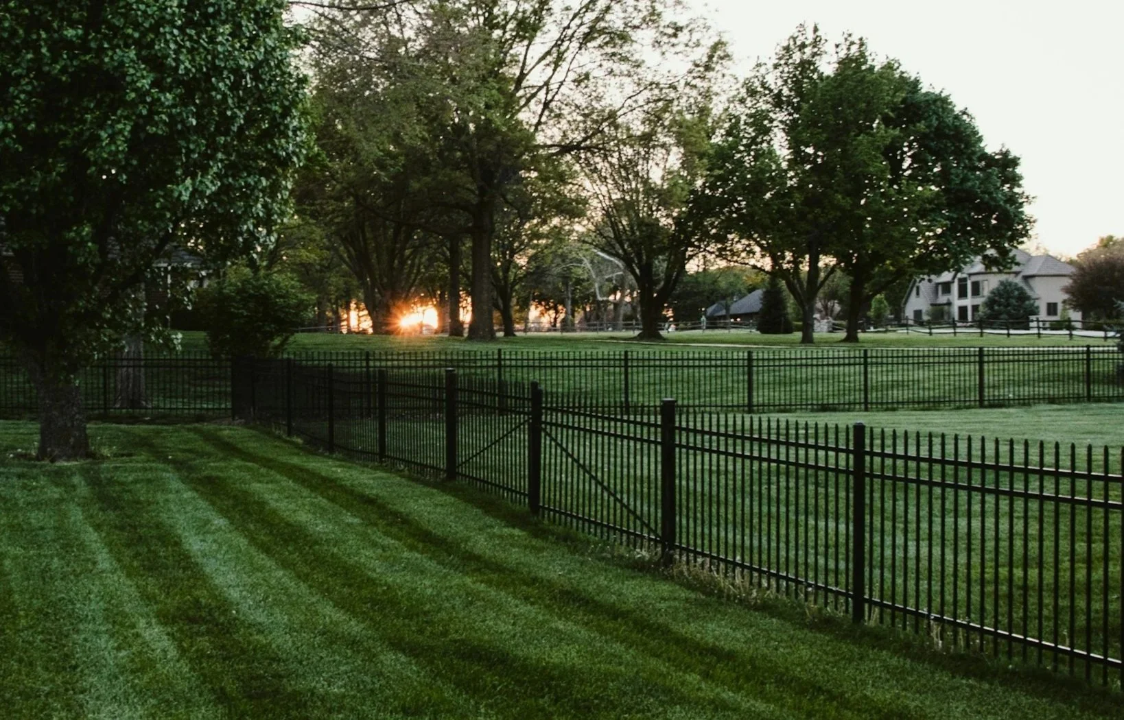 A fenced backyard with well-manicured grass, large trees, and residential houses in the background at sunset.