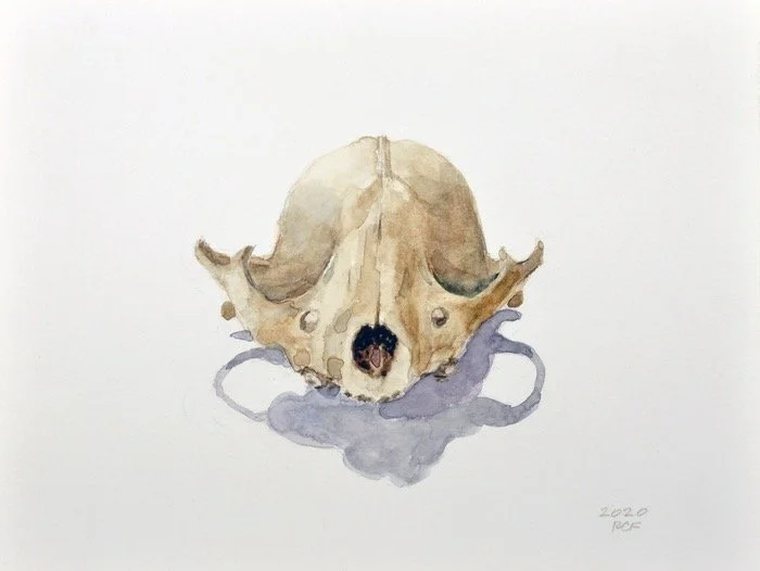  Skull I , 2020. Watercolor on paper – 11" X 14"
