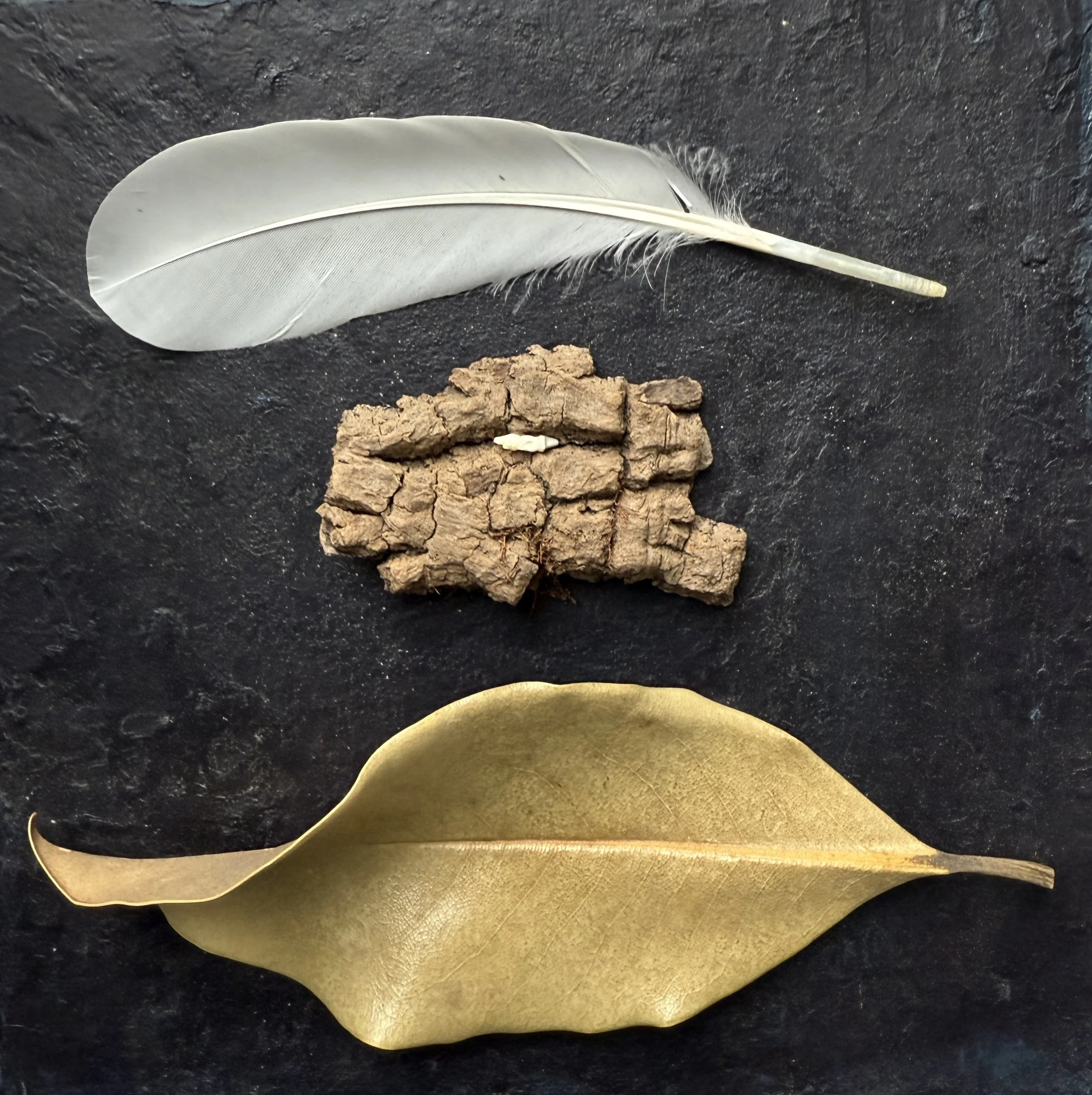  Feather Bark Leaf , 2022. Feather, bark, leaf, bone, oil on canvas – 8" X 8" X 2" 