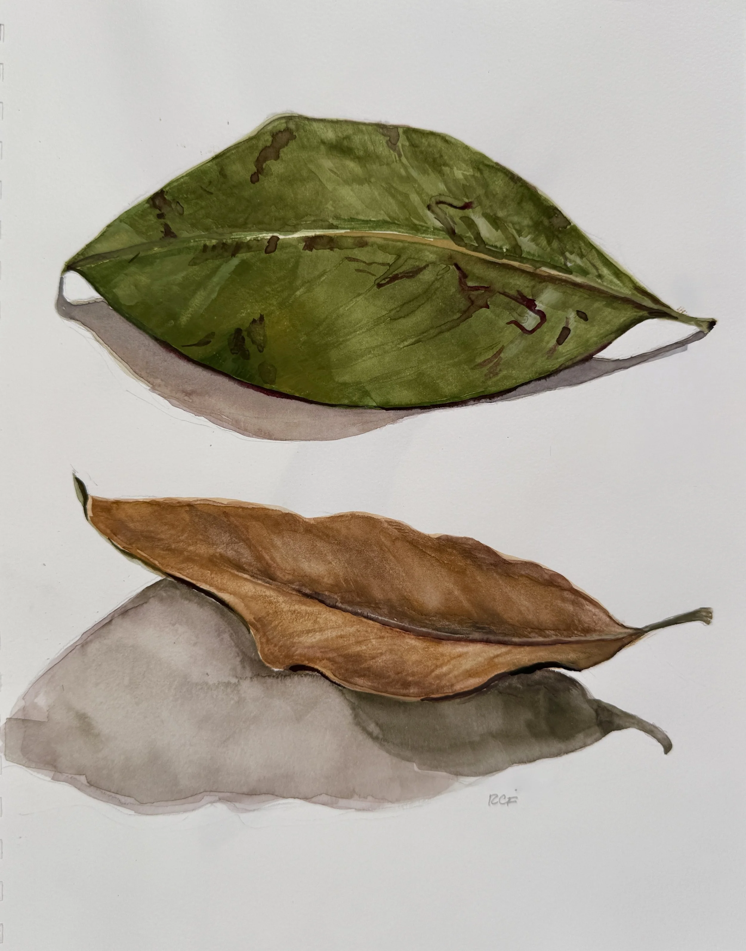  Two Leaves , 2018. Watercolor on Paper – 12" X 9" 