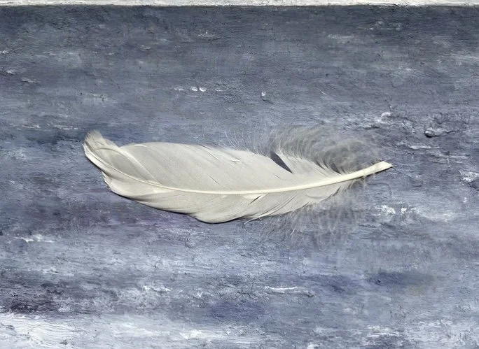  Mirage , 2024. Feather, oil on masonite – 7.5" X 10" X .75" 