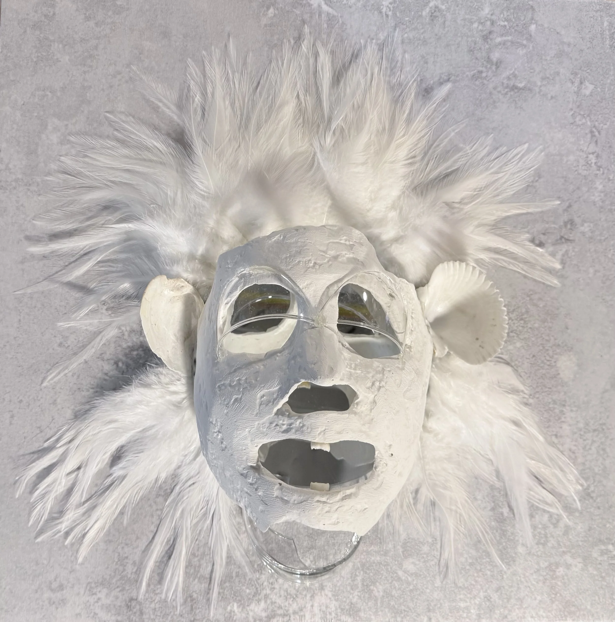  Oracle , 2026. Plaster, glass, human teeth, shells, mirror, rooster feathers, vinyl, acrylic on wood – 16" X 16" X 5.25"