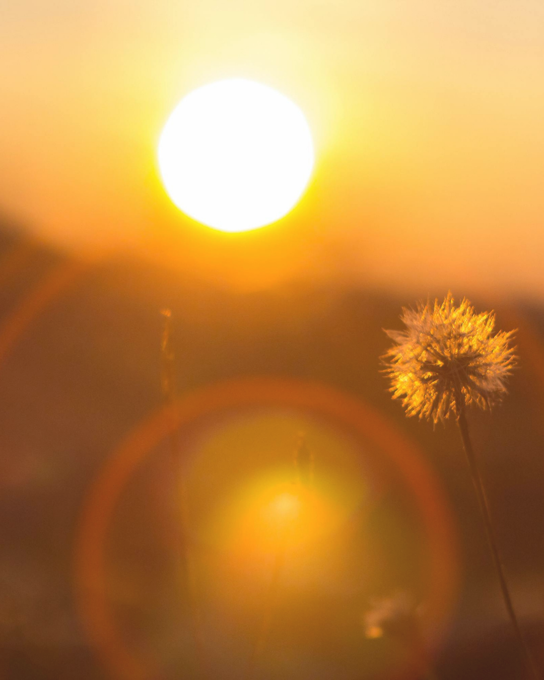 The First Light I Ever Knew