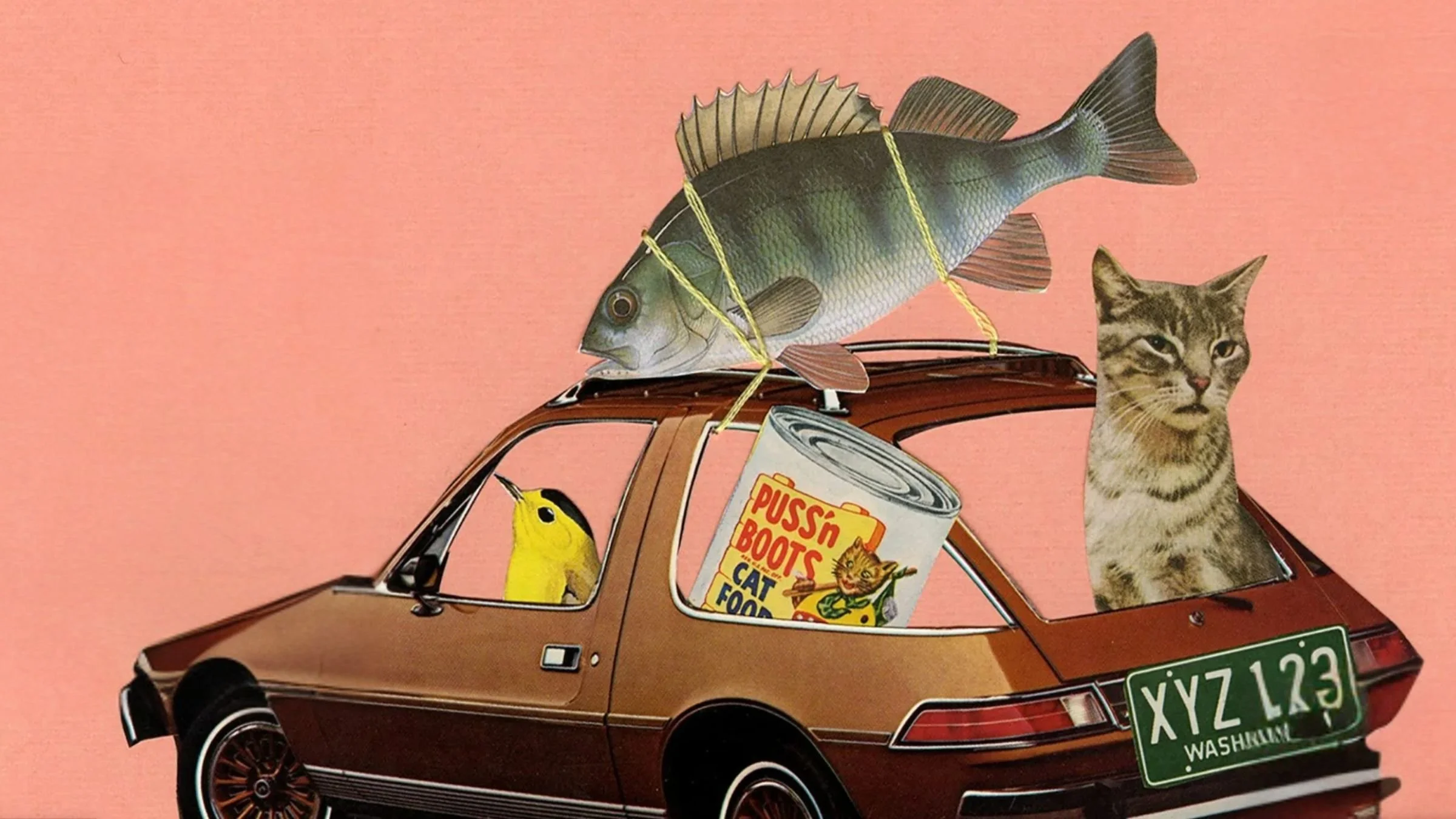 Featured image from Tahoma Literary Review showing car illustration on pink background with fish tied to roof of car and bird in driver seat with cat in rear window