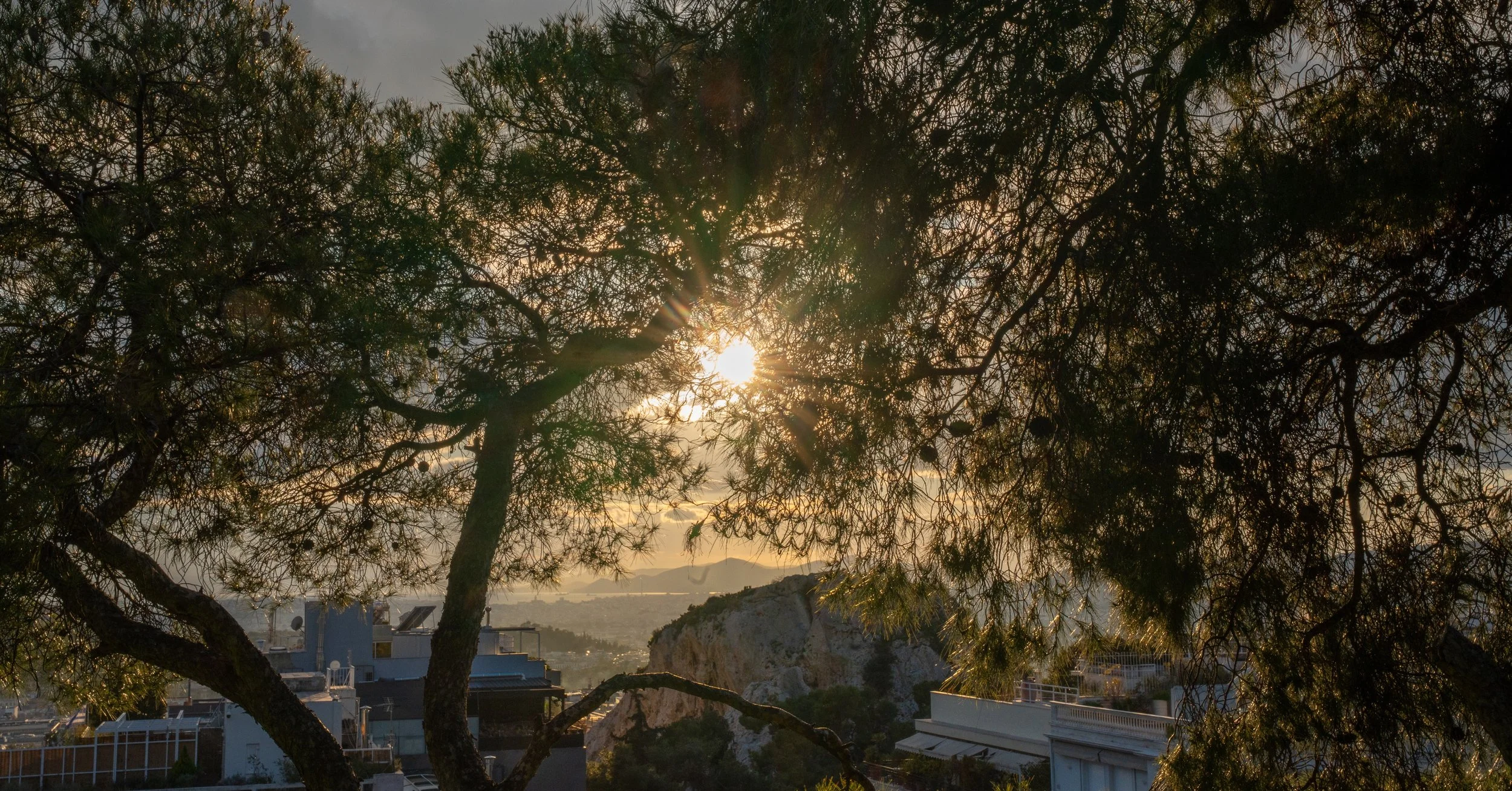The image shows sunlight filtering through a dense canopy of trees, with a cityscape and hills in the background.