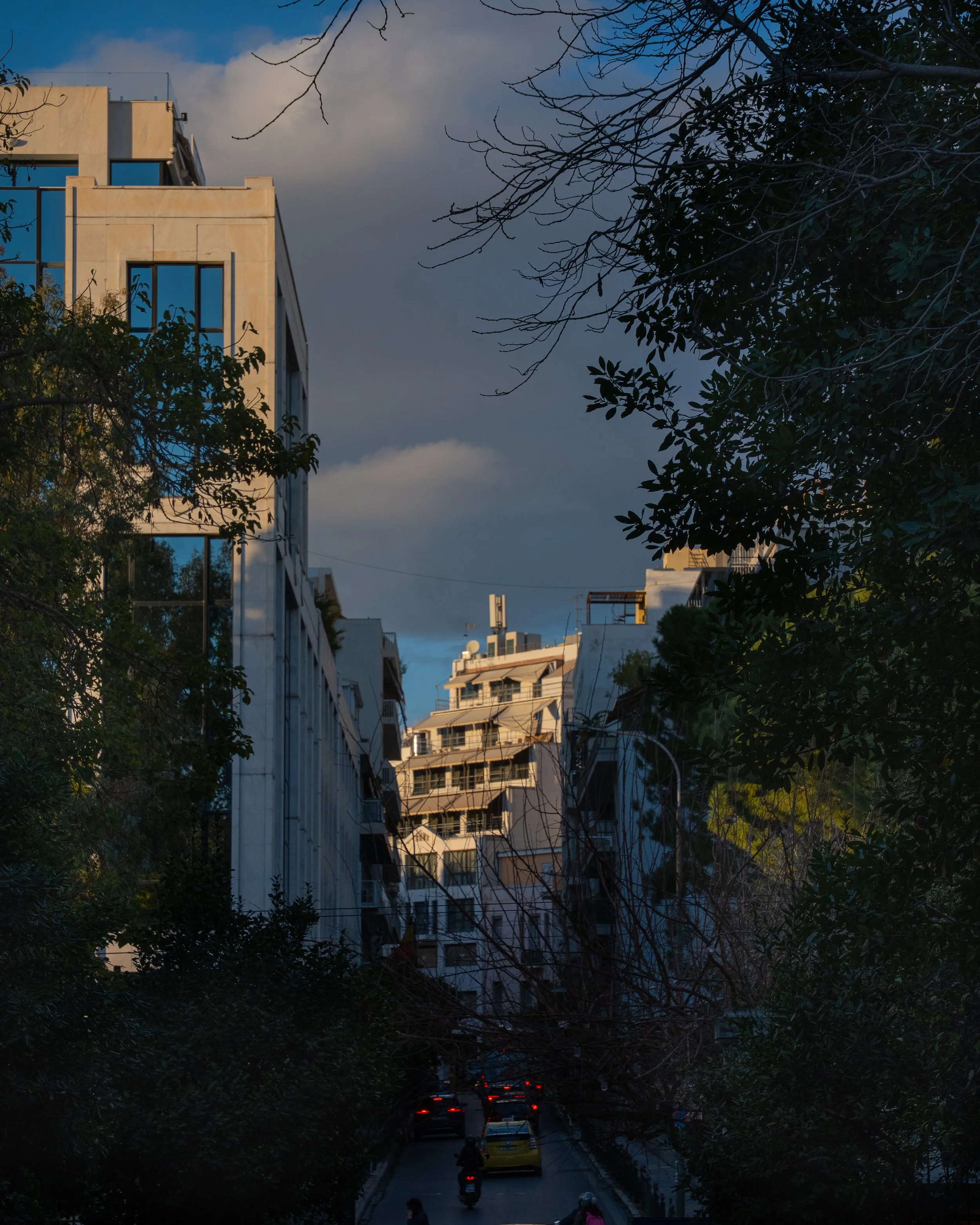 Urban street view during twilight with cars and motorcycles on the road, modern buildings in the background, and trees with bare branches framing the scene.