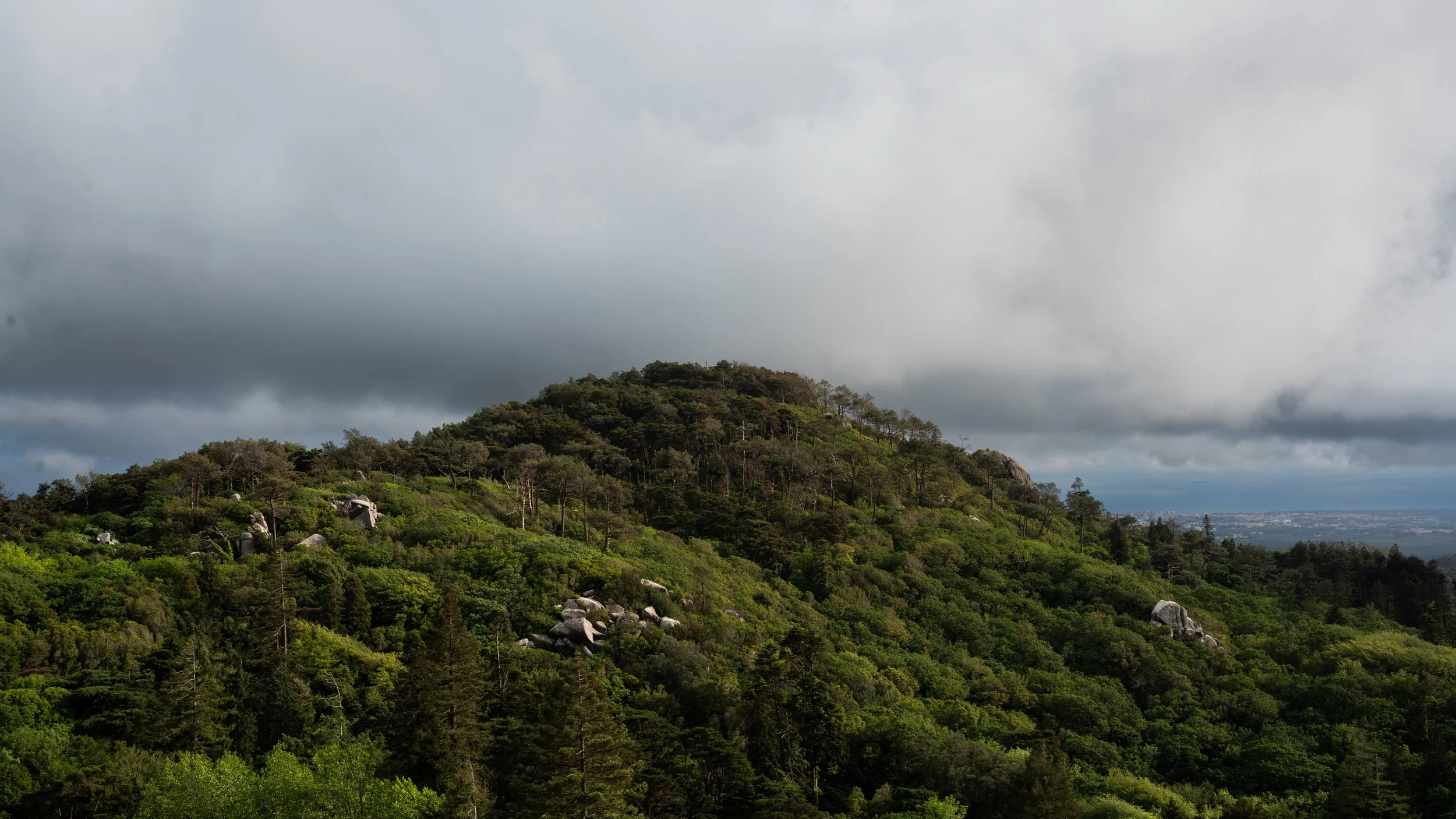 A green, forested hillside under a cloudy sky with dark clouds. In the distance, there is a city or town visible on the horizon.