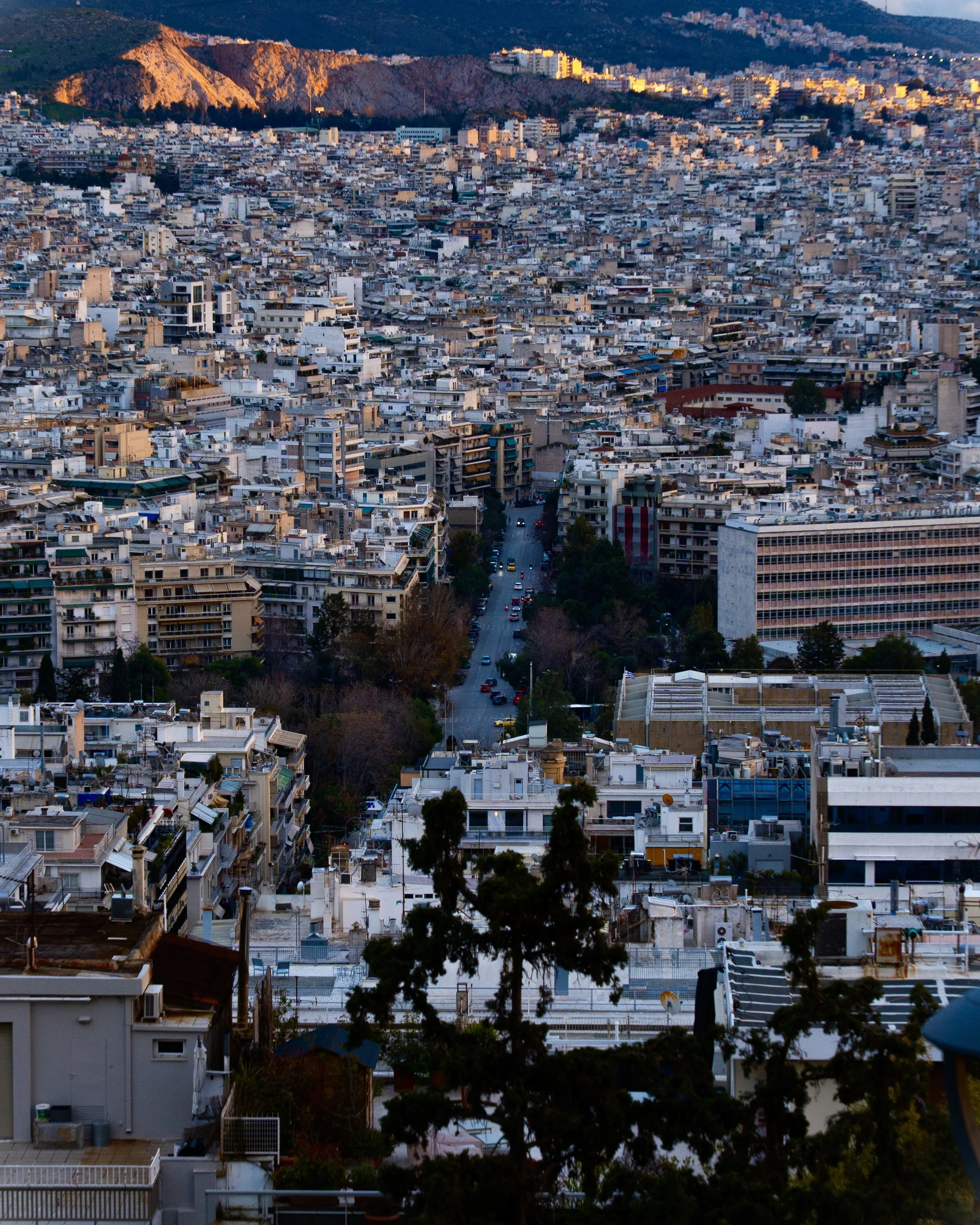 Cityscape of San Francisco with numerous residential buildings, a mountain range in the background, and a street lined with trees and cars in the foreground, taken during dusk.