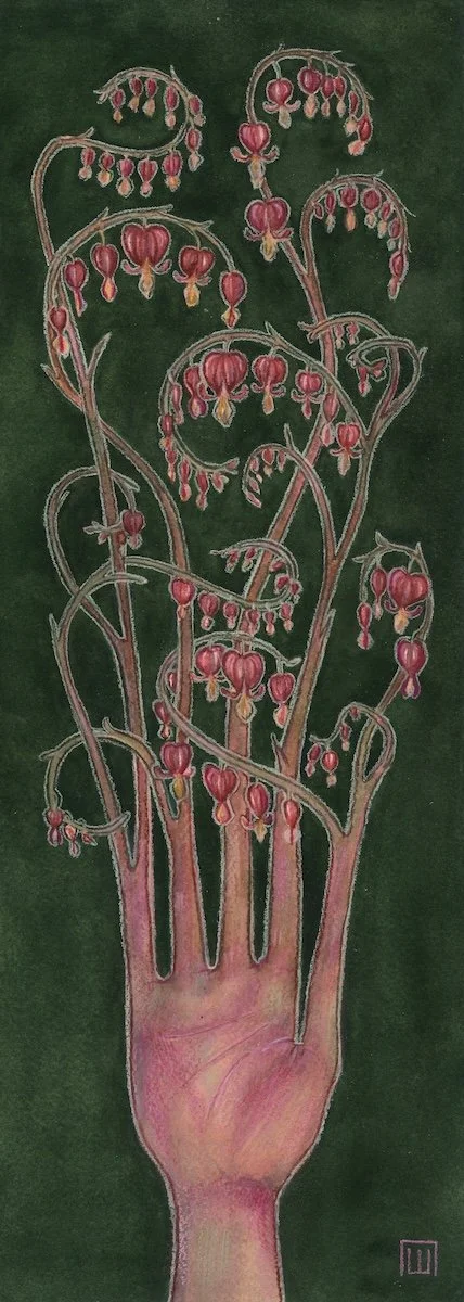 Bleeding Hearts - Watercolor and colored pencil on paper