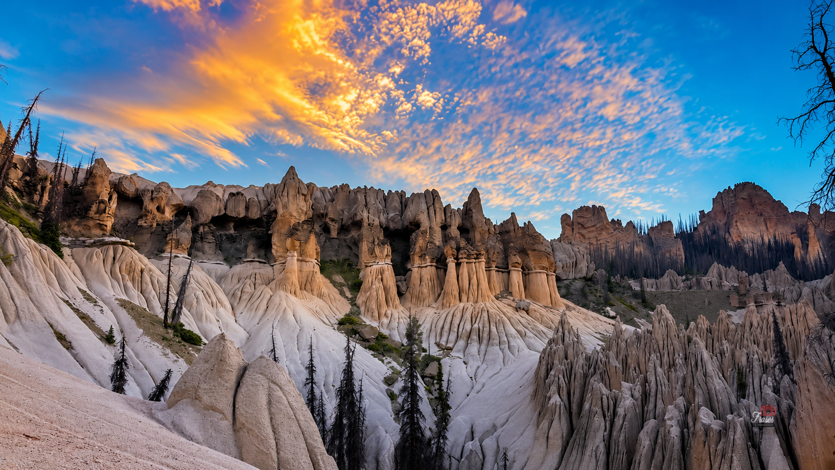 Cathedral of Stone