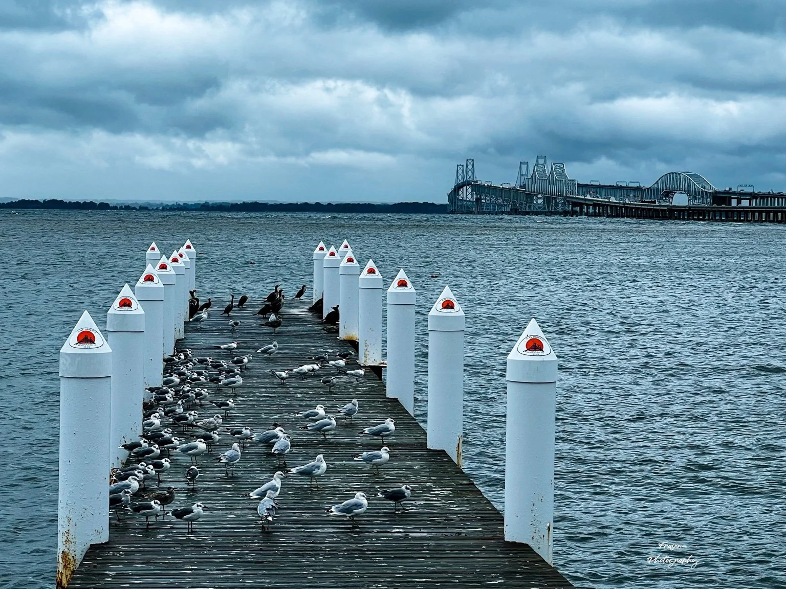 Gathering by the Bay