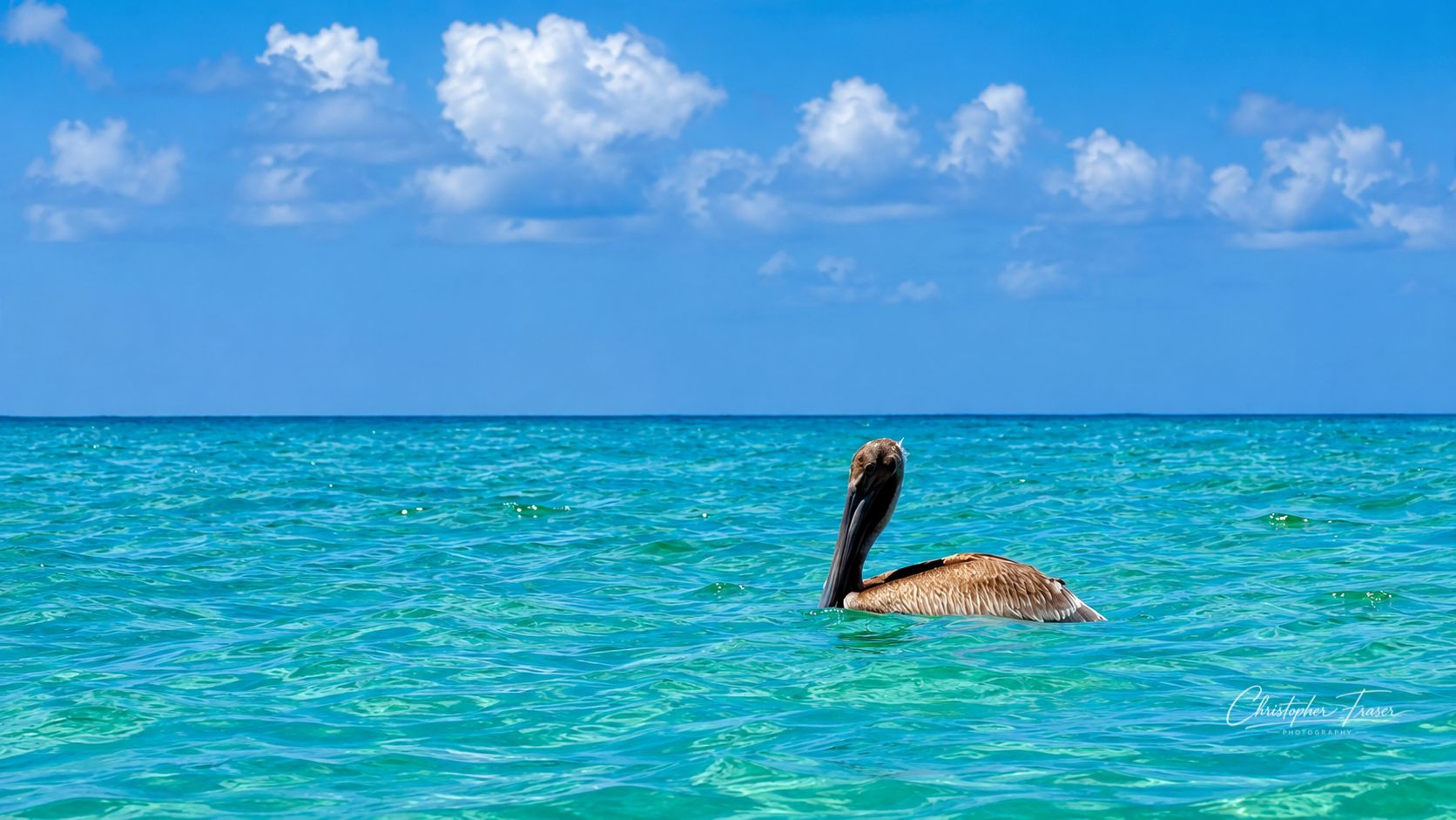 Gulf Coast Serenity