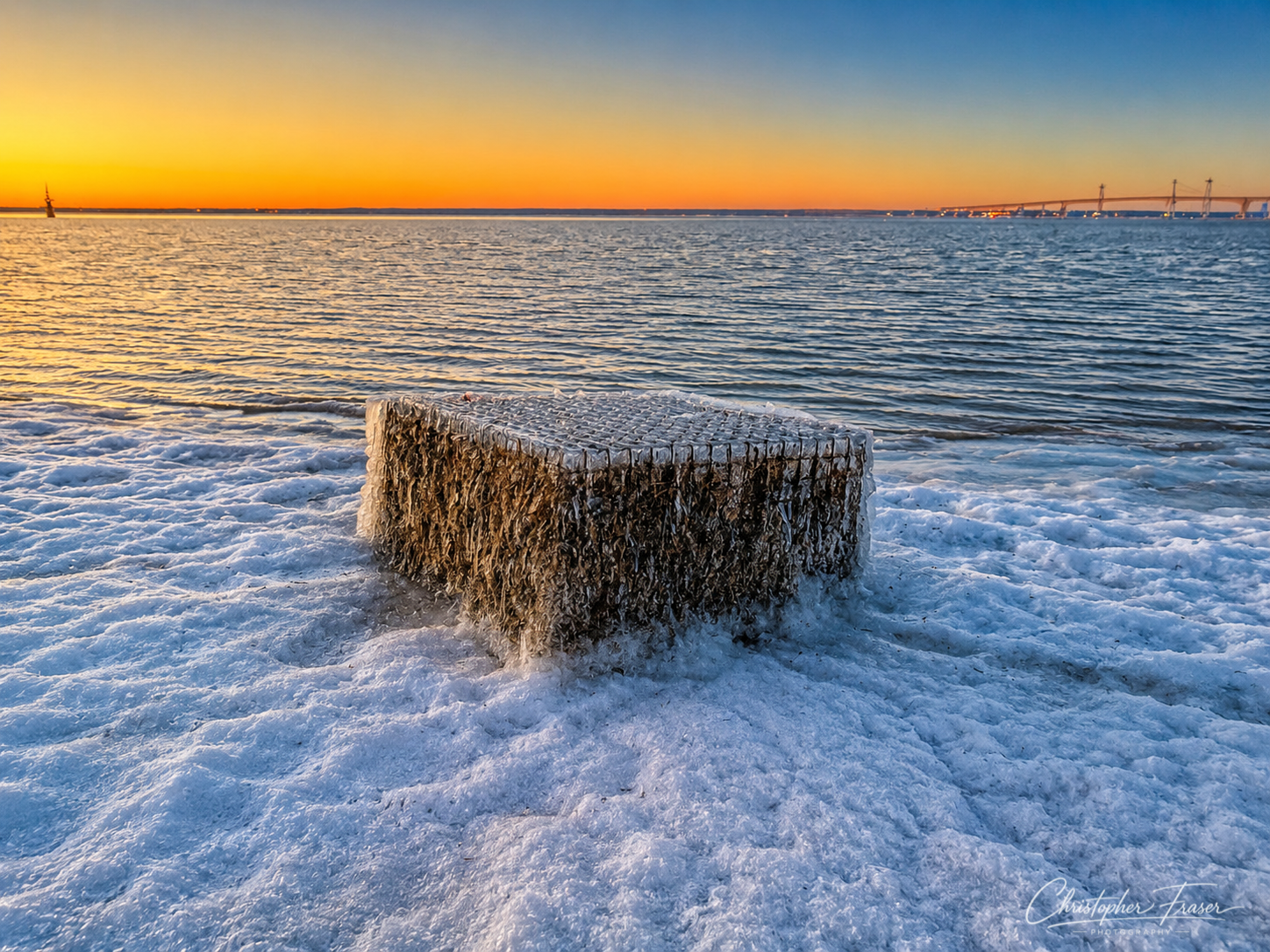 Frozen Harvest
