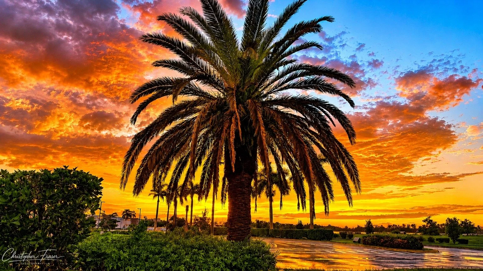 Paradise After the Storm
