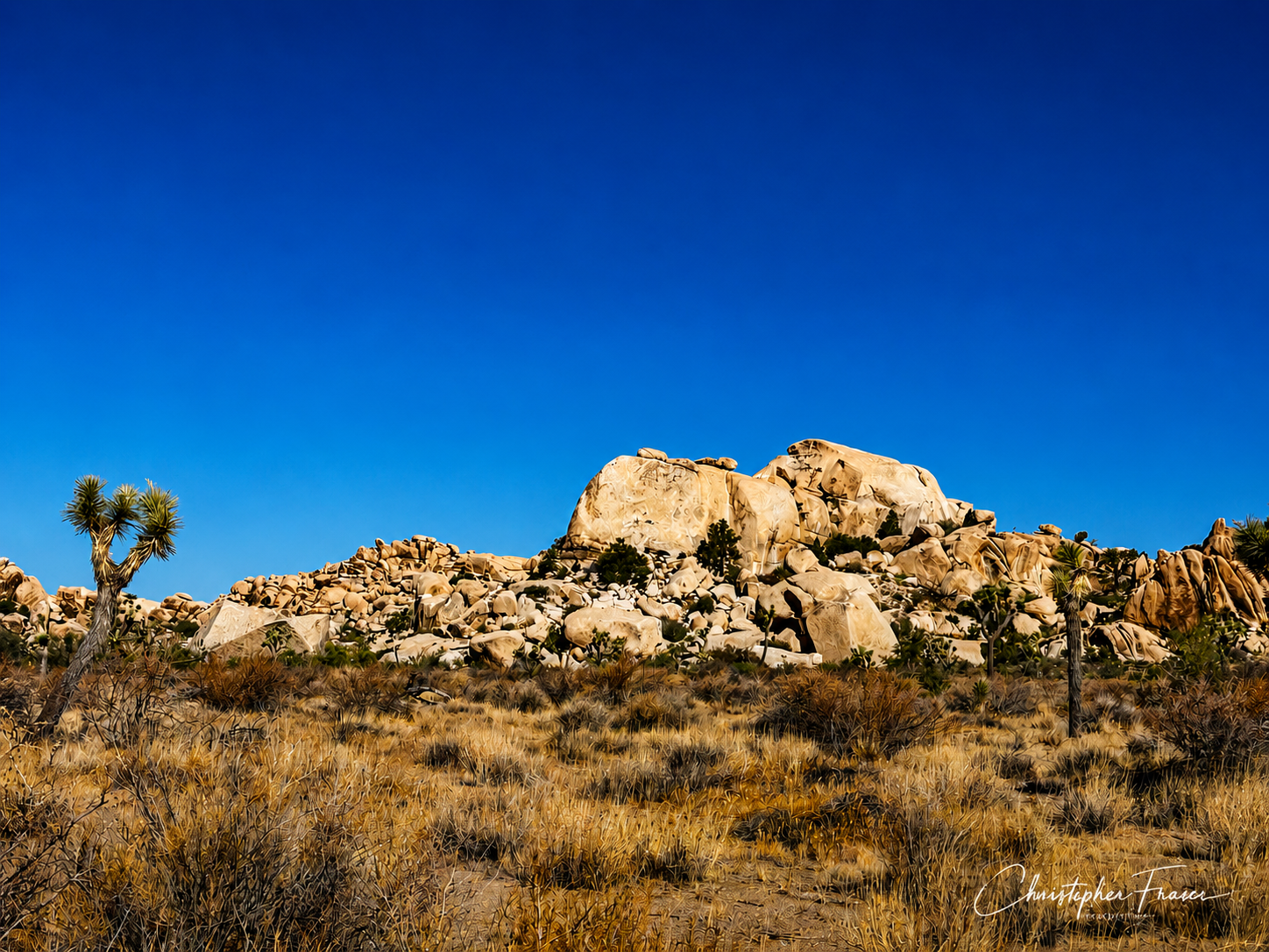 Desert Sentinels