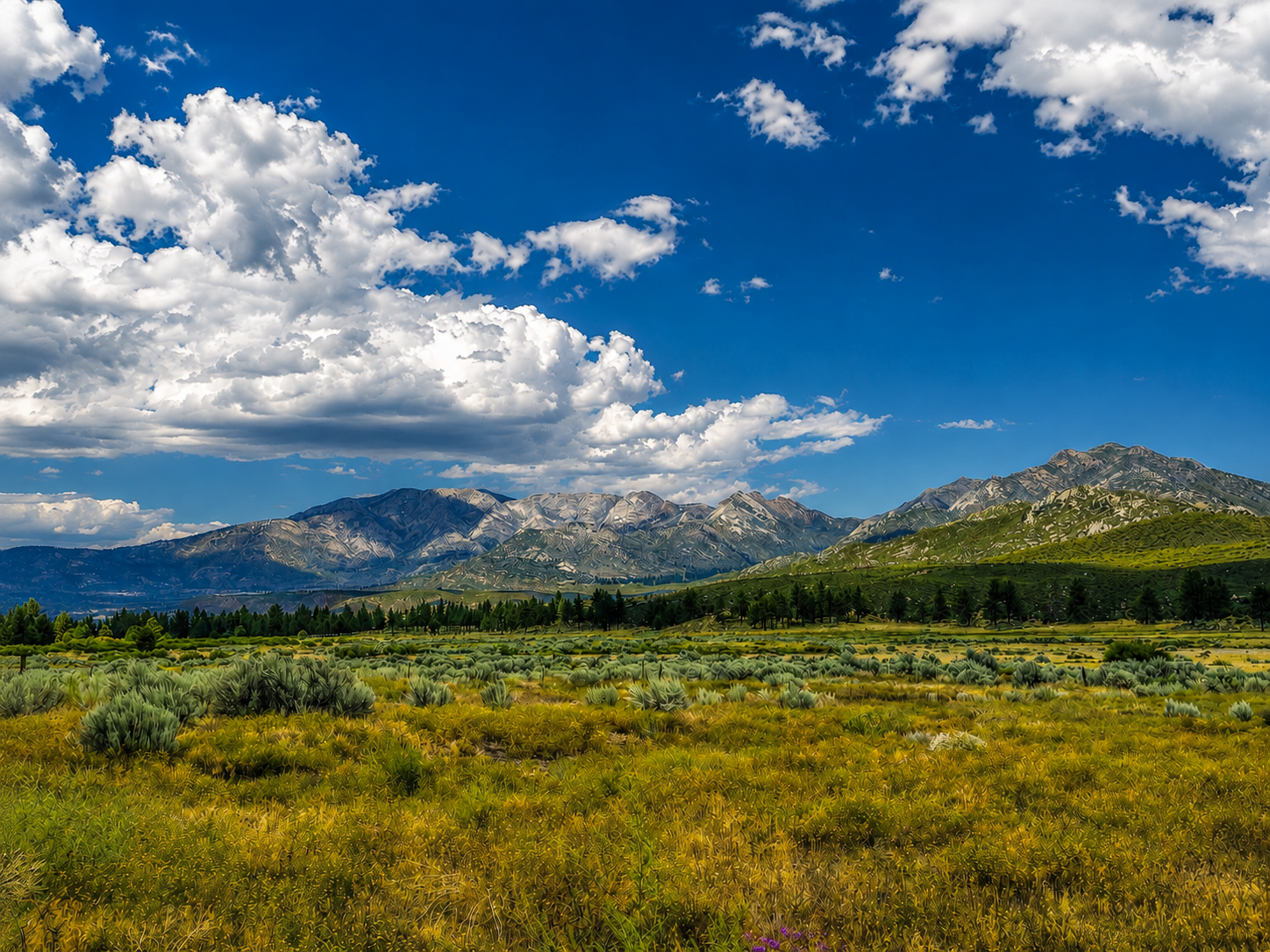 Valley Beneath the San Jacintos