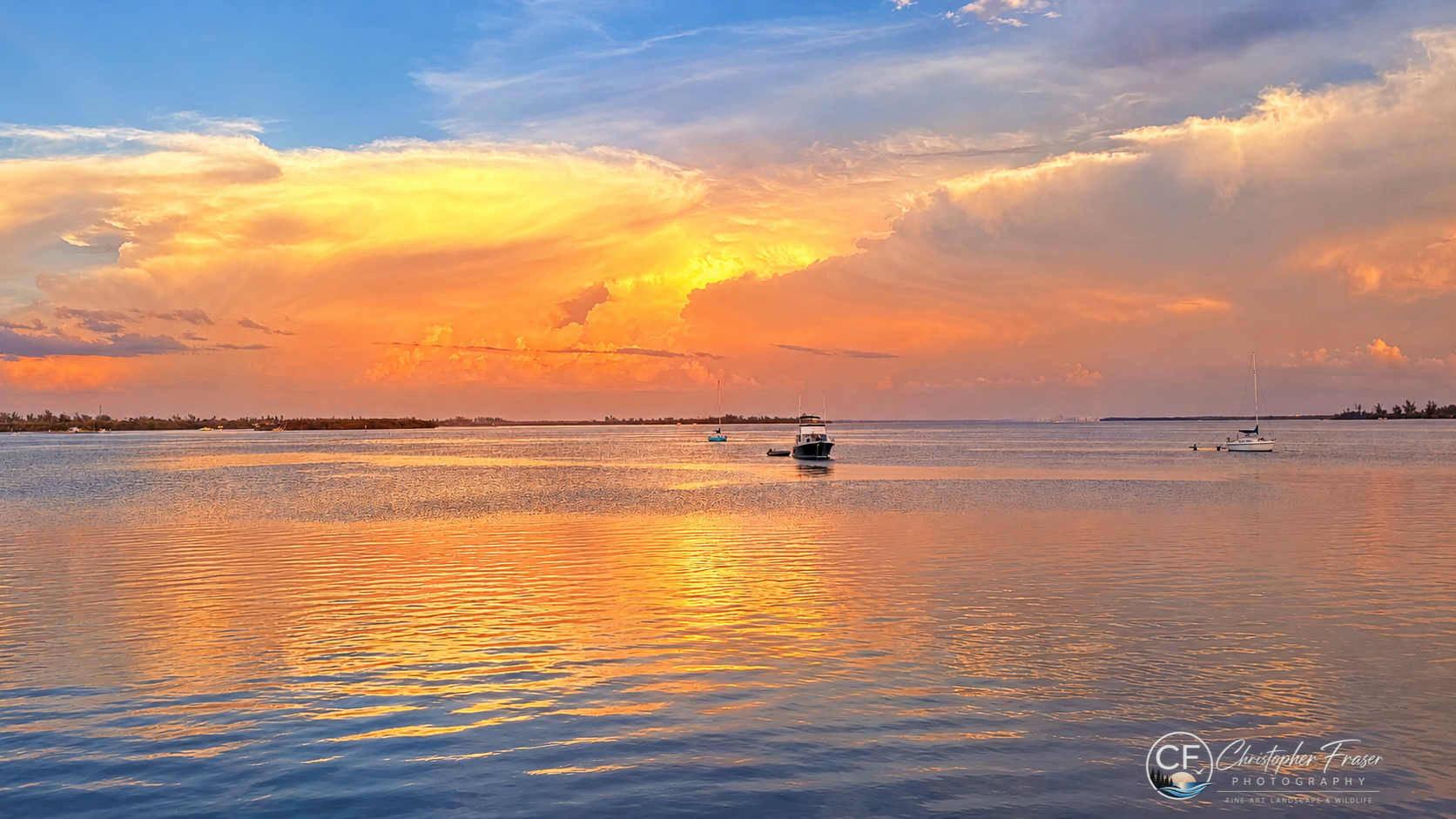 Harbor of Gold