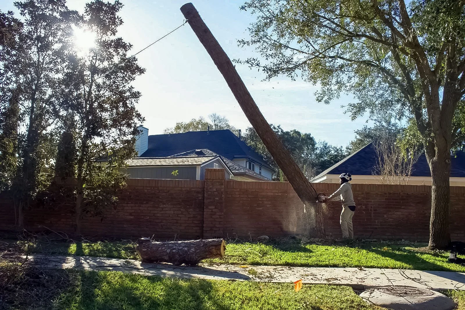 Crane lowering a large trunk section over a brick wall during a sectional tree removal