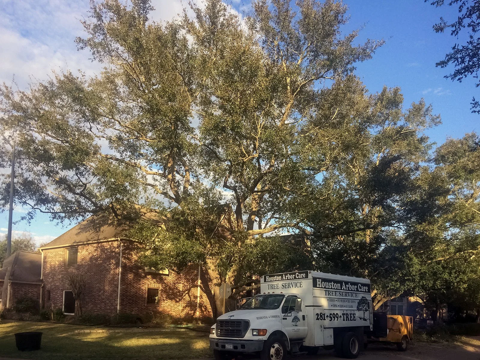 Houston Arbor Care truck parked beside a mature shade tree at a family home