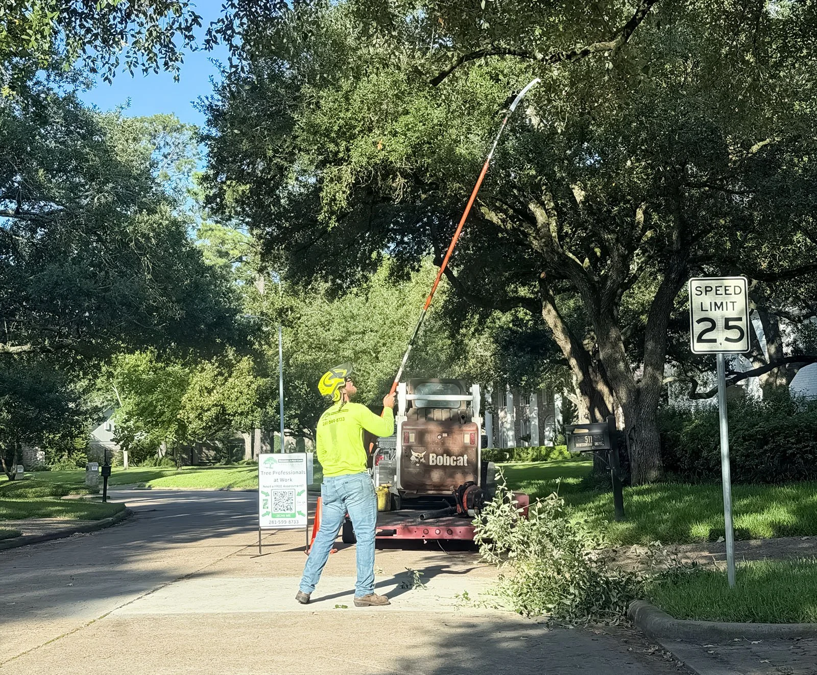 Arborist in hi-vis gear feeding pruned branches into a chipper truck on an oak lined residential street