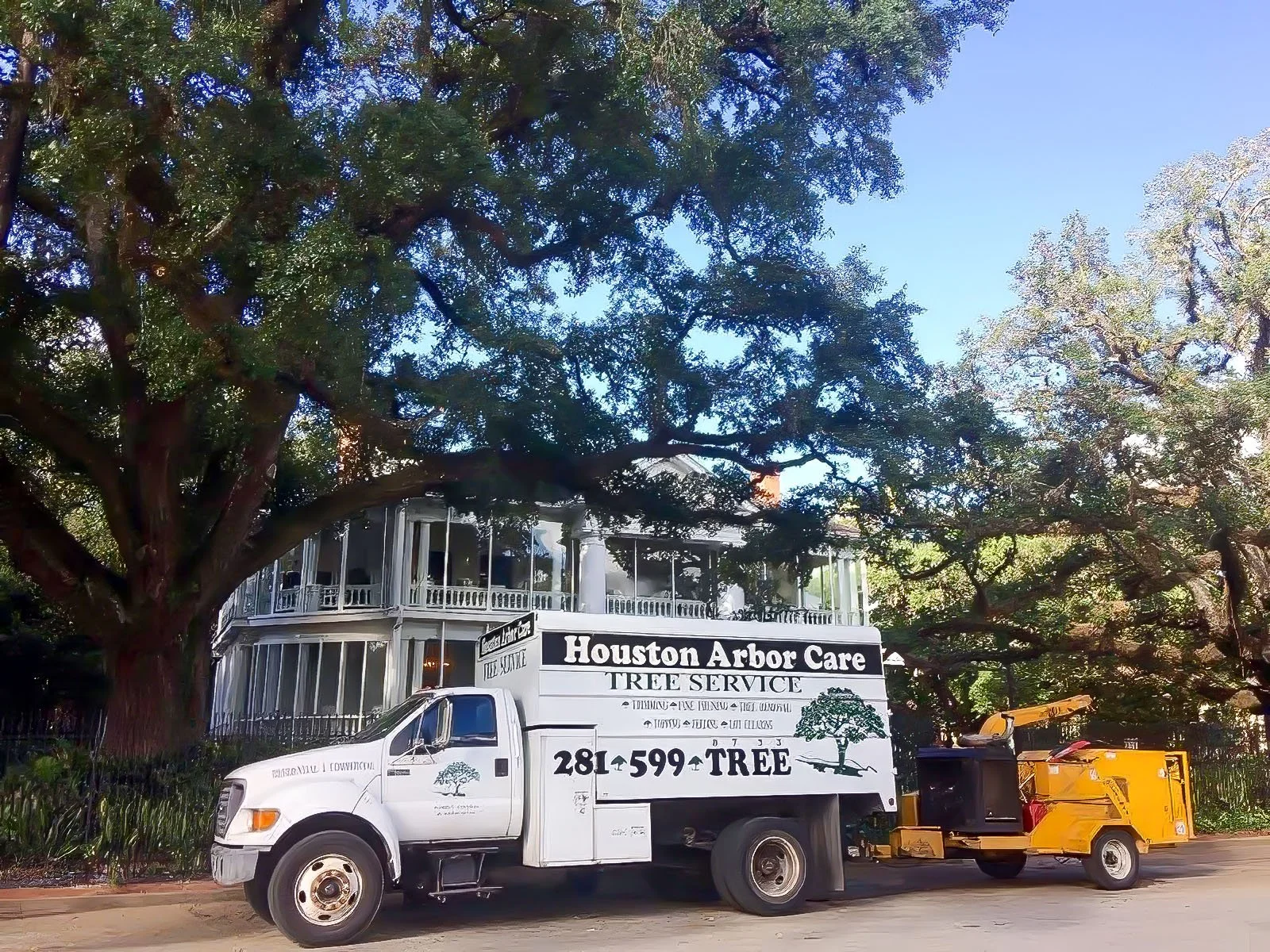Houston Arbor Care truck and chipper parked beneath mature oaks during a residential tree assessment
