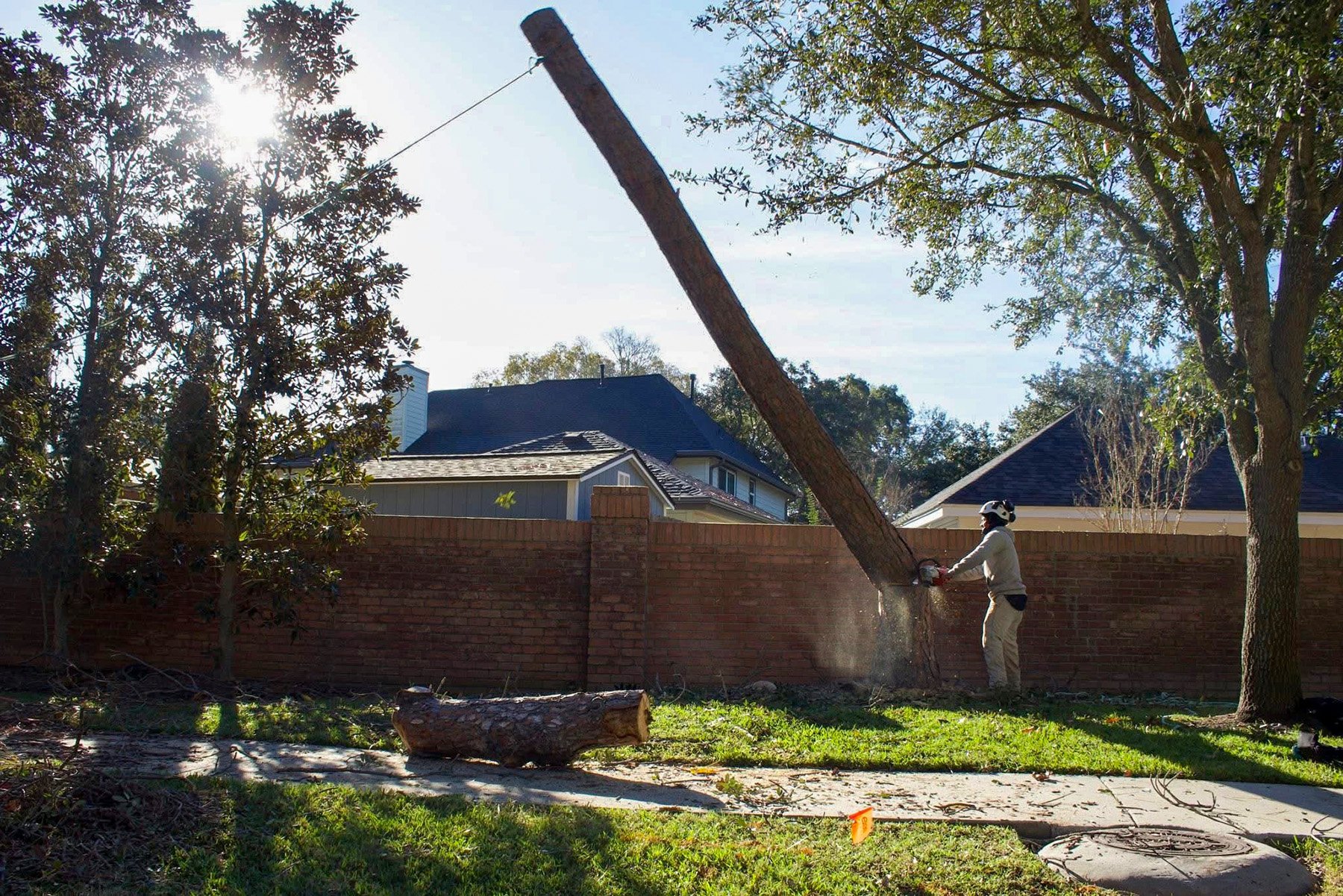 Rigging lowering a cut trunk section during a sectional tree removal
