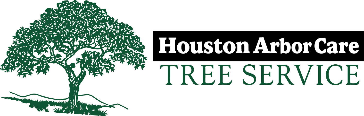 Houston Arbor Care Tree Service