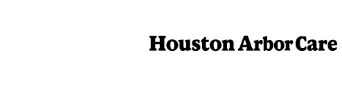 Houston Arbor Care Tree Service
