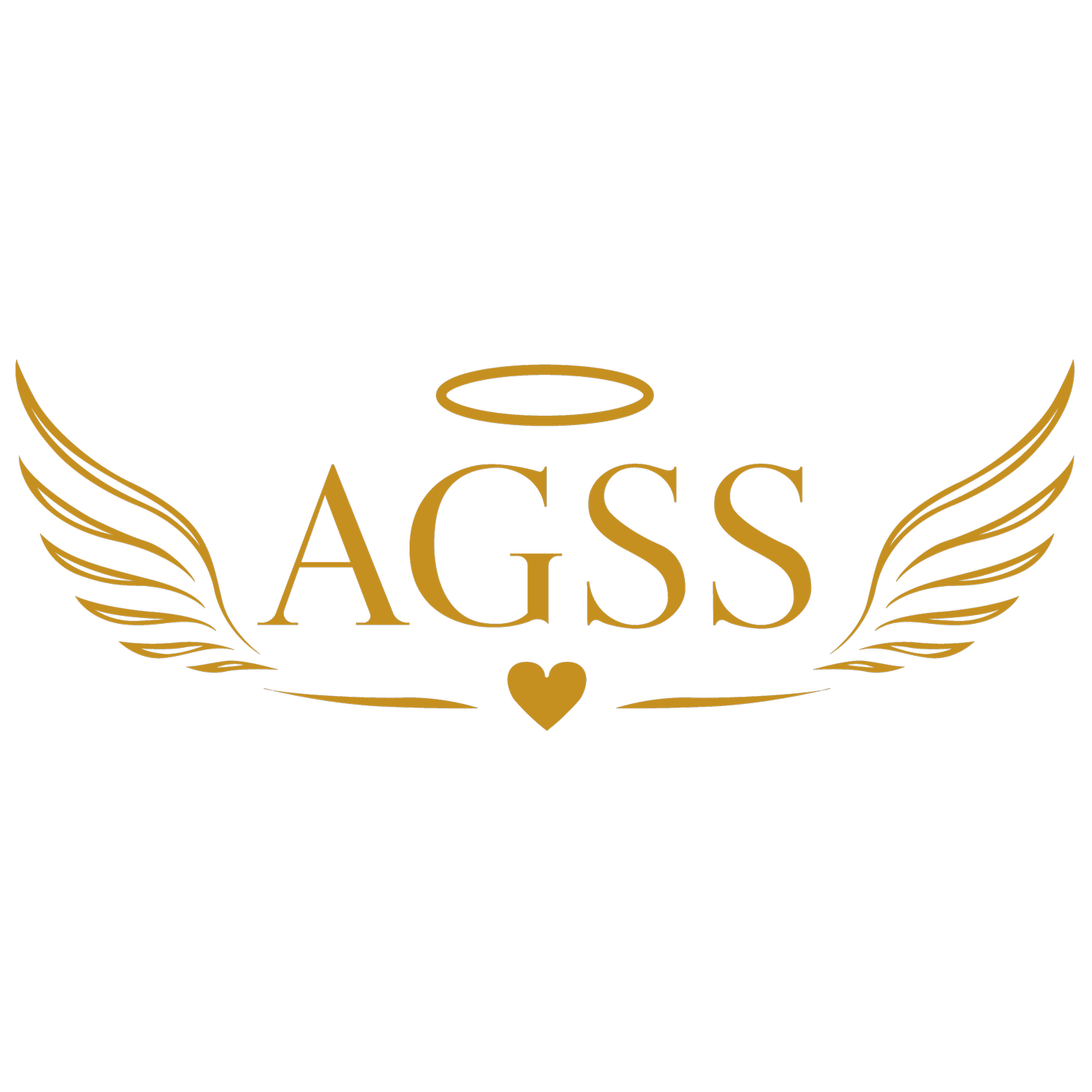 AngelGuided Support Services