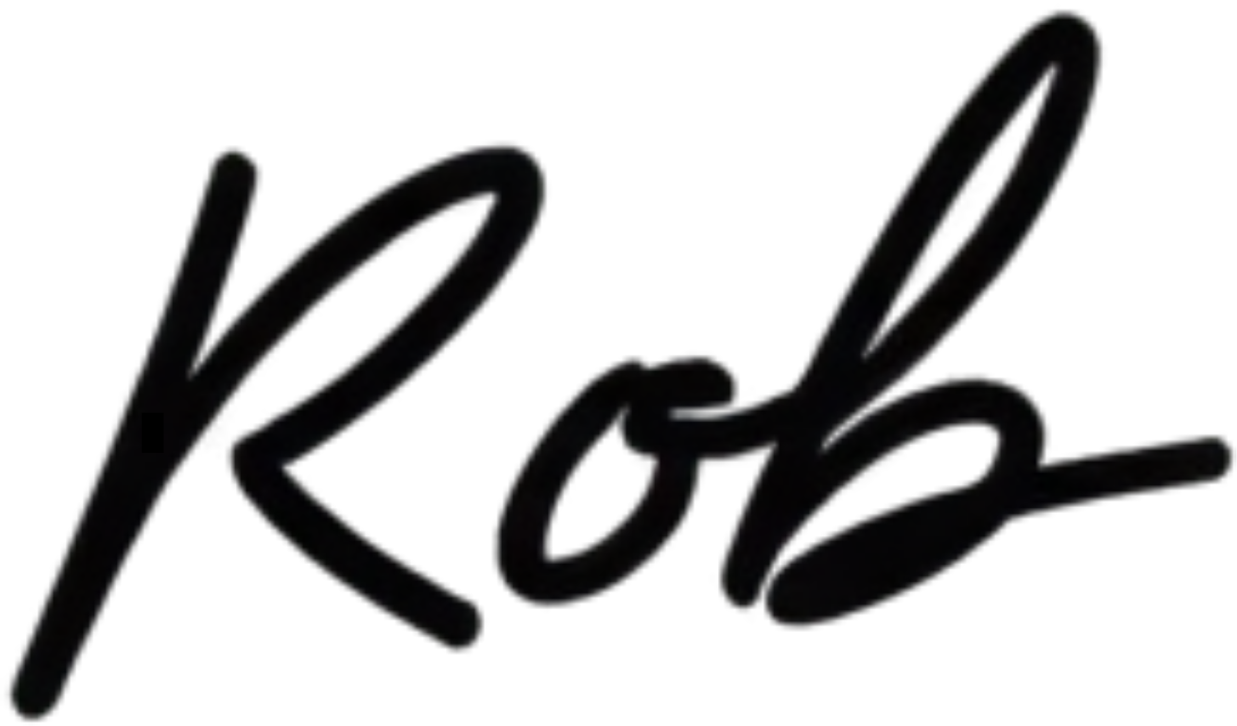 Close-up of black cursive handwritten text.